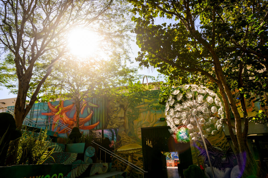 Sunlight shines through leafy trees over a vibrant mural featuring plants and an octopus. A large dandelion sculpture stands nearby, and stairs lead up to a shaded entrance.