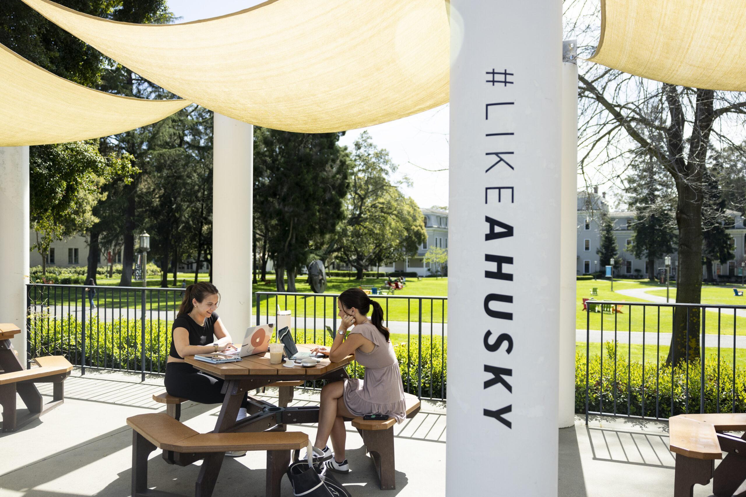 Two students sit outdoors at Suzanne Adams Plaza while they work on laptops and enjoy drinks from the Tea Shop at Northeastern University's Oakland campus