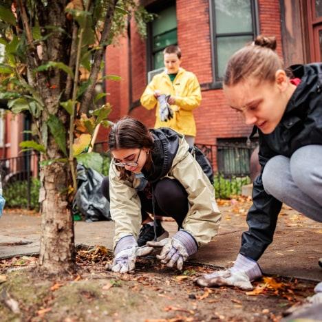 Two people wearing gloves crouch by a tree, cleaning up leaves and debris on a city sidewalk, while another person works in the background near a brick building.