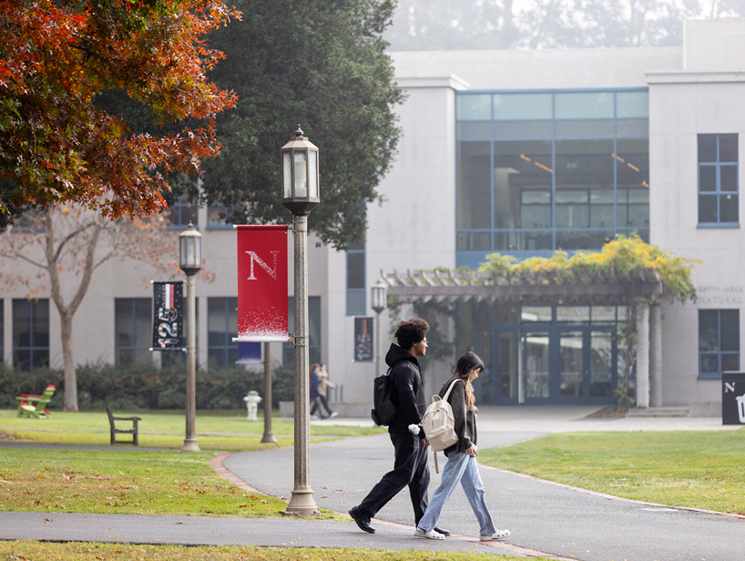 Students walking on campus past a northeastern branded flagpole