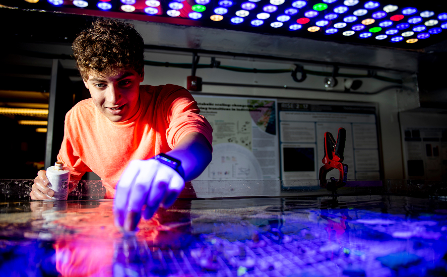 Student doing research on a table