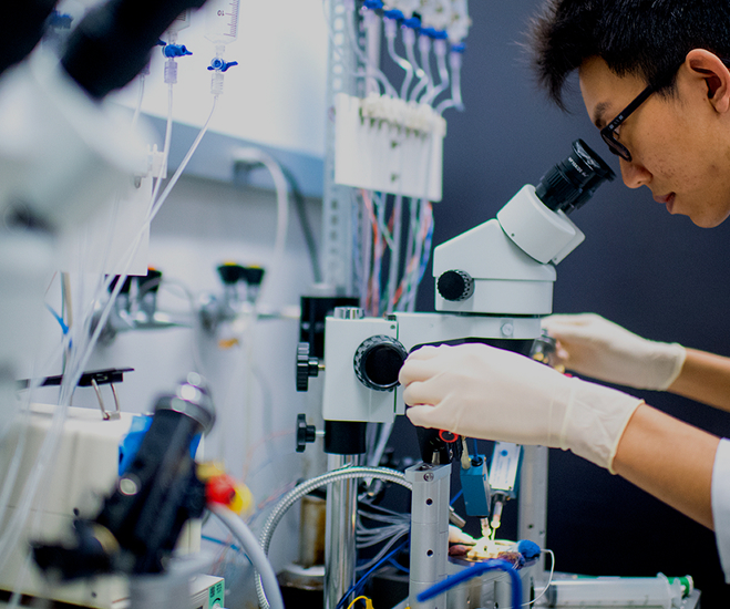 Lab student working under a microscope