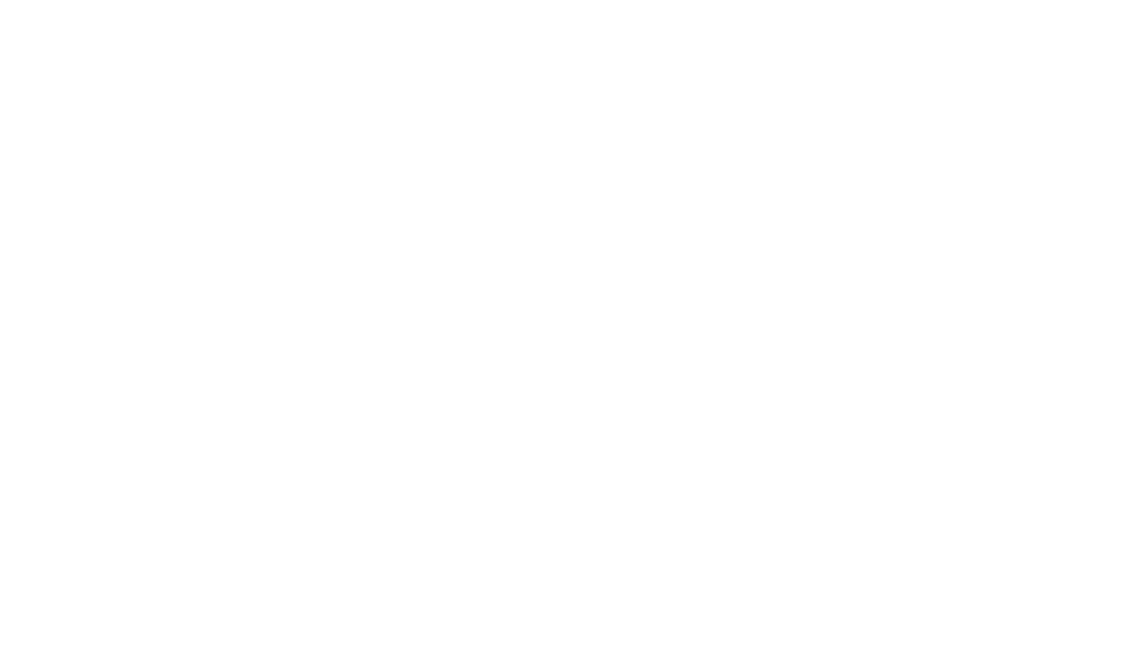 White Northeastern Athletics Wordmark Example