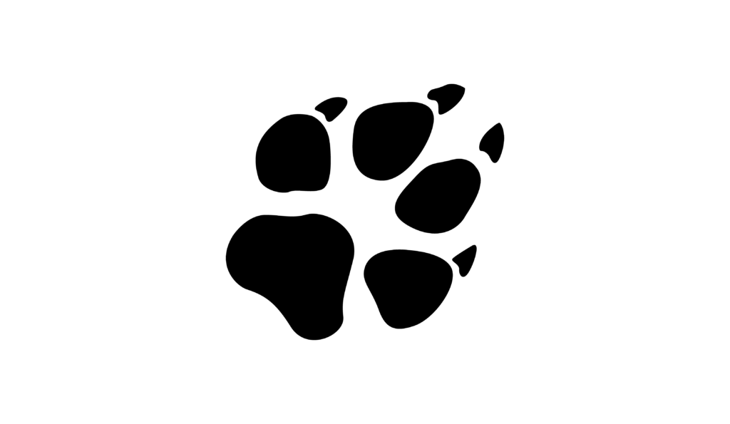 Black paw mark example