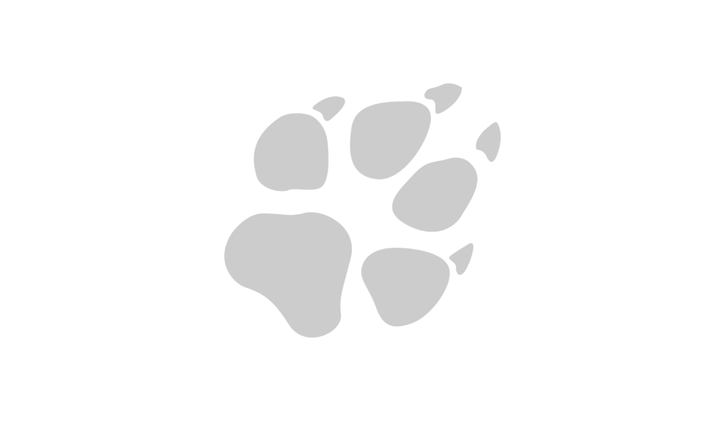 Red paw mark example
