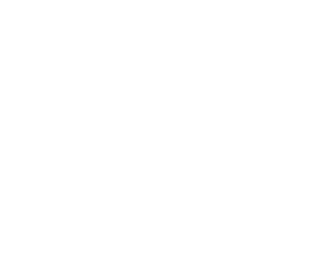 White primary monogram northeastern logo example