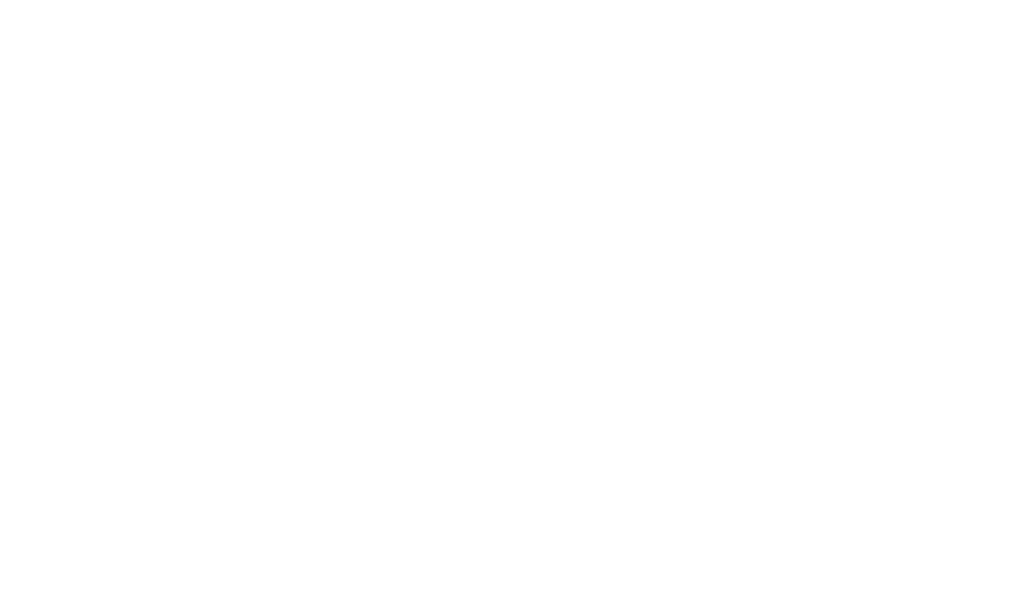 White Primary northeastern university wordmark example