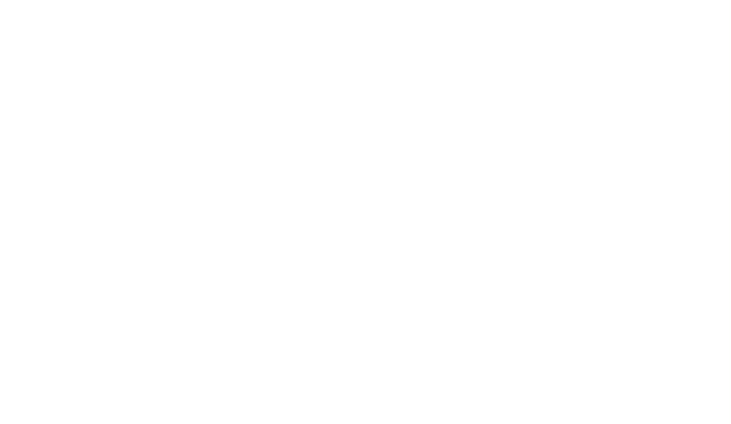 primary seal wordmark example